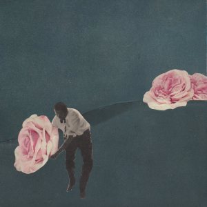 rosegarden-by-papiertaenzerin